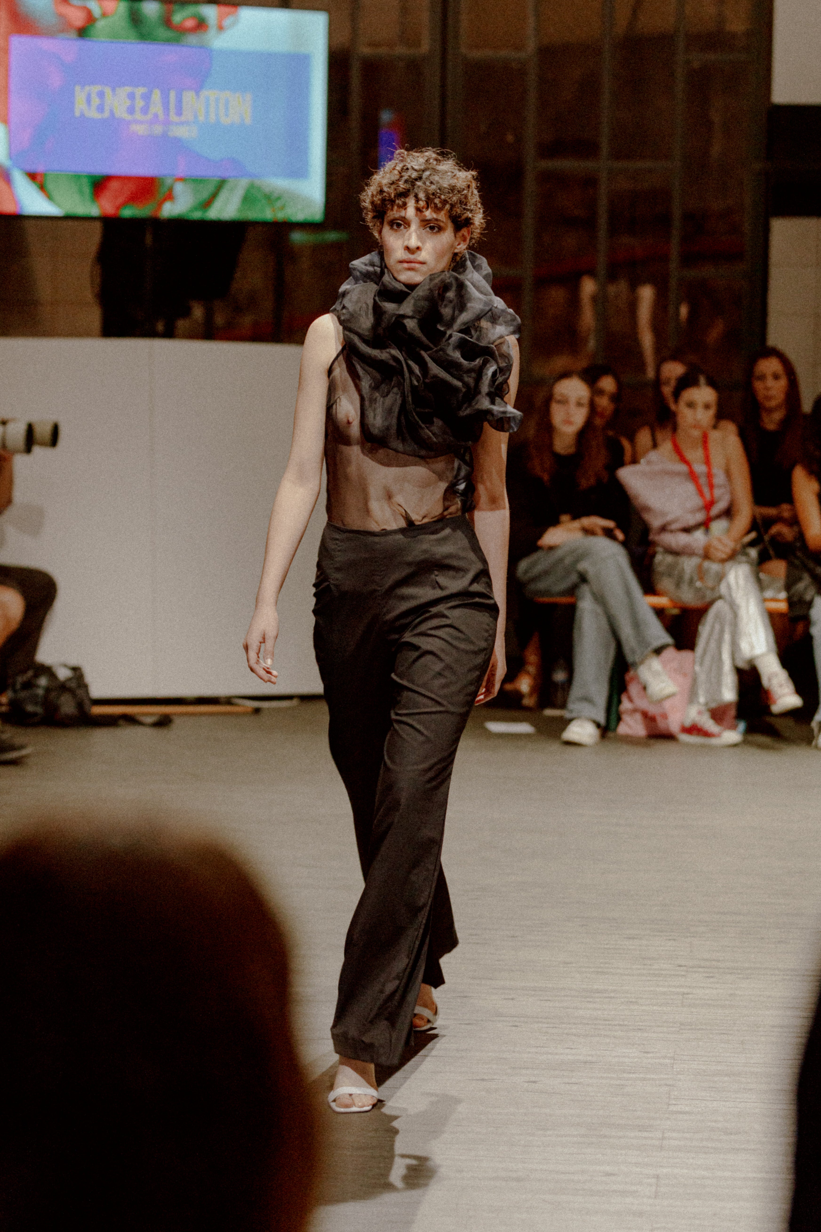Silk Organza Blouse and Pants
